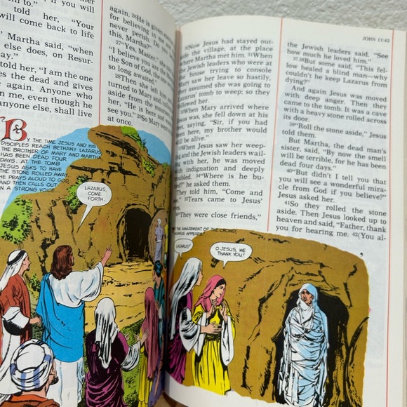 LIVING PICTURE BIBLE ~ NEW TESTAMENT ~ LIVING BIBLE TEXT ~ PICTURE ILLUSTRATIONS - Picture 8 of 11